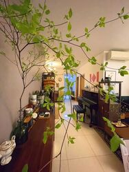 Forestville (D25), Condominium #575014531